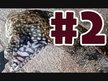 【釣り】トラウツボって食べれるんですか #2【料理】