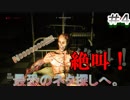 【絶叫】最恐のネタ探しへ。【OUTlast】 ＃４
