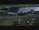 【MHP2G】ヘビィボウガンで浮岳龍