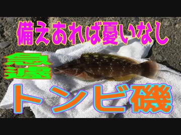 釣り動画ロマンを求めて 197釣目（トンビ磯）