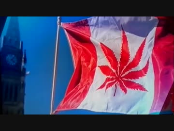 カナダが趣向品の大麻を合法化メイプルの国からマリファナの国へw