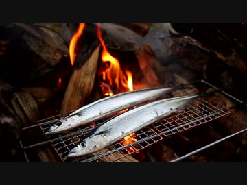 はじめてのバックパックキャンプ【とにかく秋刀魚を食べつくす】