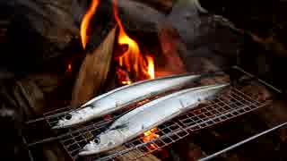 はじめてのバックパックキャンプ【とにかく秋刀魚を食べつくす】