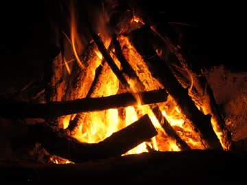 【癒し】焚き火の音と風の音と鳥の鳴き声（睡眠用BGM・作業用BGM）