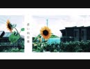 青い向日葵 / IA