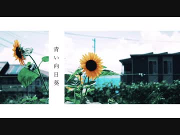 青い向日葵 / IA