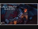 ヘブンの「CALL OF DUTY BLACK OPS」＃１