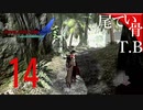 【DMC4SE】布教動画レベルで喋るDevil May Cry4SE part14