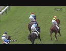 2018/10/20 東京5R 2歳新馬【ランフォザローゼス】