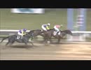 2018年10月19日川崎競馬10R 綾瀬市市制施行４０周年記念特別(B1-二・B2-一) アルゴノート