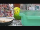 おねむですか？