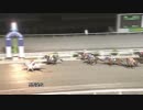 2018年10月20日高知競馬9R 雑賀正光協賛 大二郎さんに感謝特別(B-2組) スタートレイル