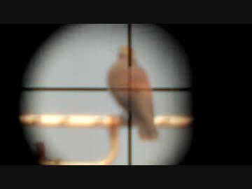 スマホ用スコープカメラ作ってみた。