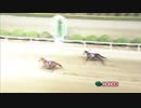 第20回九州大賞典 スーパーノヴァ