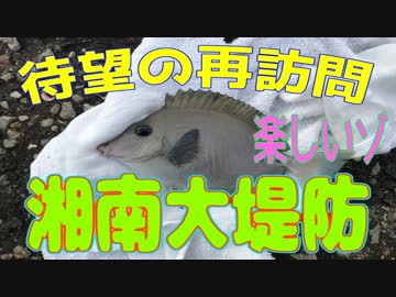 釣り動画ロマンを求めて 199釣目（湘南大堤防）