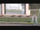 2018年10月21日盛岡競馬9R ＯＲＯターフ特別(OP) エイシンエルヴィン