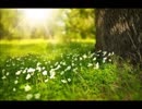 【MEIKO・巡音ルカ】　春2015