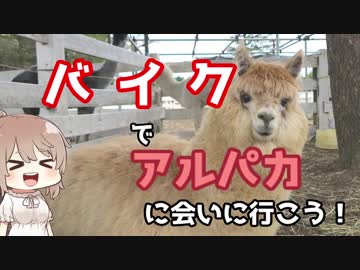 ささらん車載でpart21 バイクでアルパカに会いに行こう！