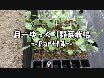 月一 ゆっくり野菜栽培 Part14