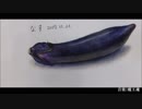 【水彩色鉛筆画】なす・ω・-eggplant【描いてみた】