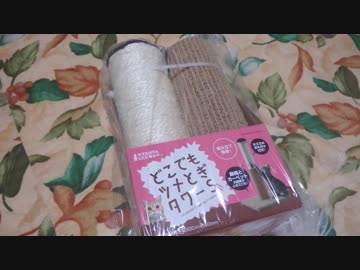 仔猫と生活#7「ツメとぎタワー・・・」