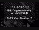 【人l力l総l統】B.i.g.B.r.o.t.h.e.r【UlTlAlU】