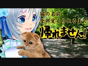 名前覚えるまで帰れません！？やってみた結果…【猫の名前】