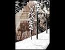 Agnus Dei -あさき-