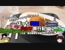 【ゆっくり】韓国トルコ旅行記　2　始まりのカツカレー