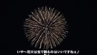 【MSE】ふじさわ江ノ島花火大会の臨時特急に乗ってみました【えのしま51号】