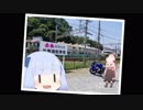 小さなやつらの小さな大冒険！♯2「真珠の道と名物氷」