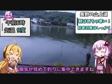 手軽に狙えるビッグゲーム