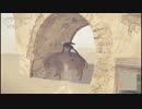 【実況】機械生命体とアンドロイドの戦いの果てに　NieR：Automata【part23】