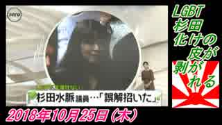 21すまたん、LGBT杉田、化けの皮が剥がれる。菜々子の独り言　2018年10月25日(木）