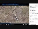 《がおーっ》アフリカ・サバンナ野生動物ツアー 生中継【10月24日 夕】1