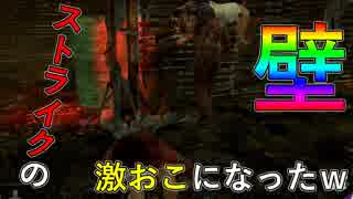 #デッドバイデイライト #DBD 【デッドバイデイライト】ストライクの壁に絶対なるマン！【Dead by Daylight　実況】