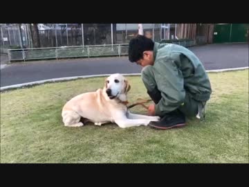 キナコとTMOK 2018/10/24