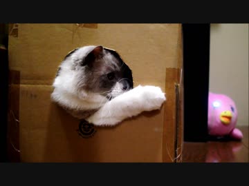 確認する事は大事（ナイス）