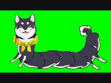 胴長黒井しばGB
