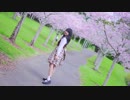 【Sato☆】春に一番近い街　踊ってみた【ft.ニュージーランドの桜】