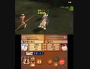 【初見ノーリセ】 ファイアーエムブレムif 暗夜ルナ Part53 17章-6