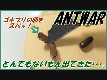 中身入りゴキブリの卵開封したら、とんでもないものがでてきた・・・。