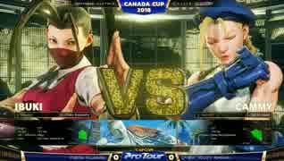 CanadaCup2018 スト5AE TOP16Winners 藤村 vs Xiaohai