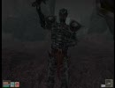 Morrowind ヘタレひとり旅 part60