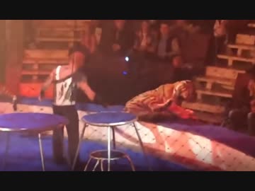 サーカスのトラが火の輪に恐怖しガクブル状態！ その後失神へ…
