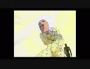 旧作TVゲーム「ジョジョの奇妙な冒険 黄金の旋風」キャラクターPV：シンプルな丸刈り