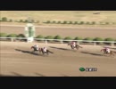 2018年10月28日佐賀競馬9R 地方競馬最高齢重賞勝利記録更新記念 的場文男チャレンジカップ(C2-18組) サングリアロッサ