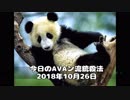 今日のAVAン流銃殺法 2018年10月26日