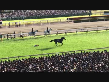 2018年 第158回 天皇賞（秋） ダンビュライト 放馬