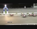 2018年10月28日高知競馬10R ２０１８ＪＢＣ京都まであと７日 ソナレノギク特別(C3-1組) マイネルイノメ